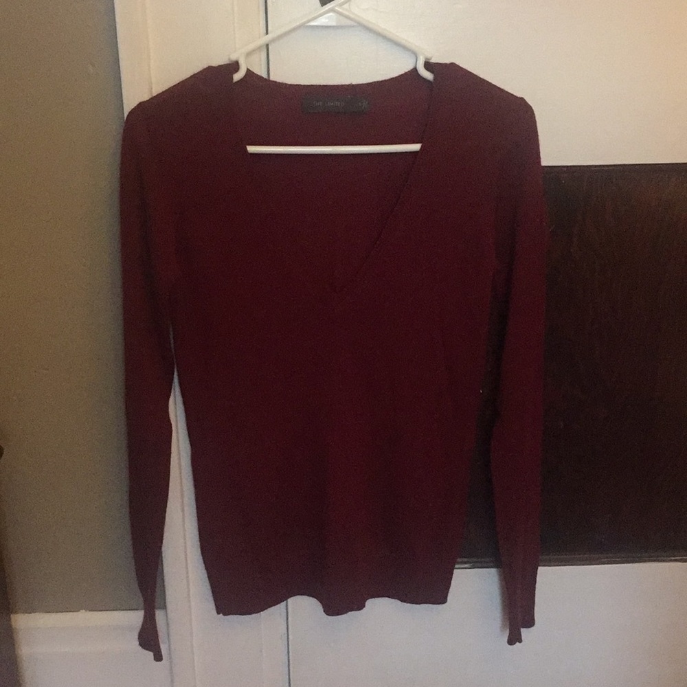 The Limited v-neck sweater.